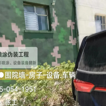 上海数码迷彩漆施工